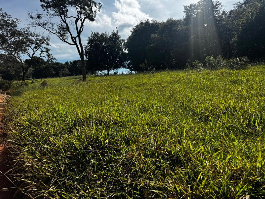 Lote, Centro, 0 Quarto, 0 Vaga