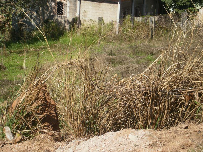 Lote, Panorama Industrial, 0 Quarto, 0 Vaga
