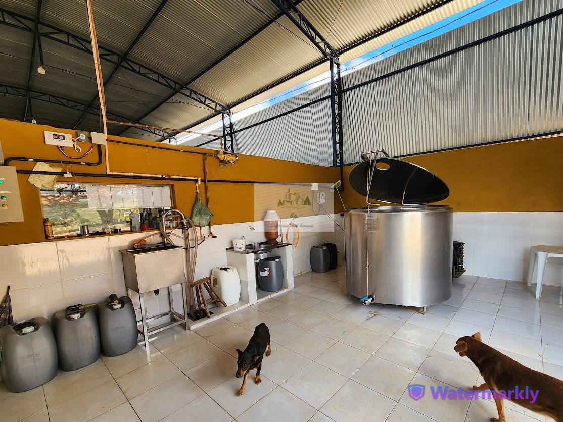 Fazenda, Centro, 6 Quartos, 4 Vagas, 1 Suíte