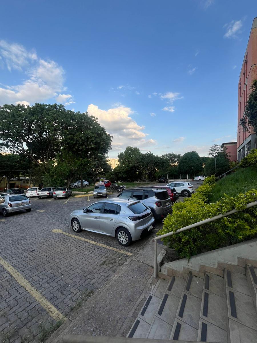 Apartamento, Palmeiras, 3 Quartos, 1 Vaga