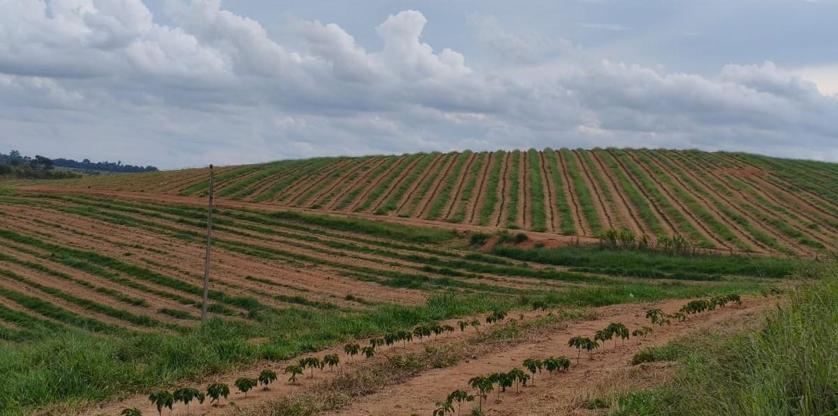 Fazenda, Zona Rural, 0 Quarto, 0 Vaga