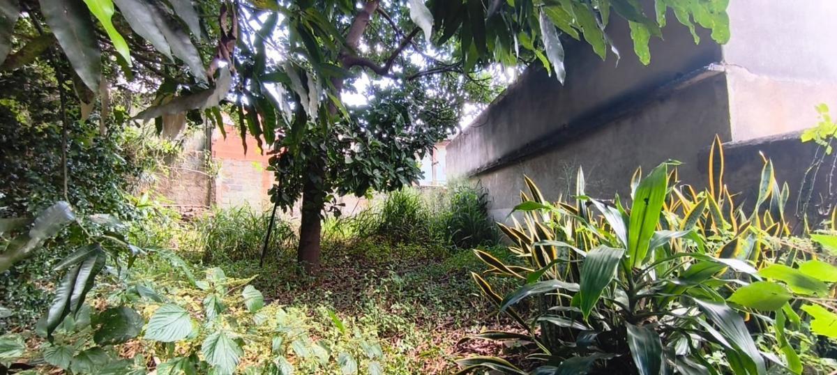 Lote, Santa Cruz, 0 Quarto, 0 Vaga
