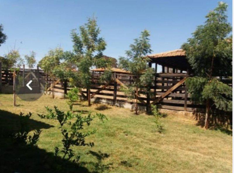 Fazenda, Centro, 0 Quarto, 0 Vaga