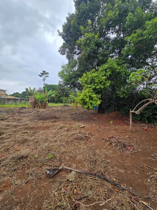 Lote, Chácara Novo Horizonte, 0 Quarto, 0 Vaga