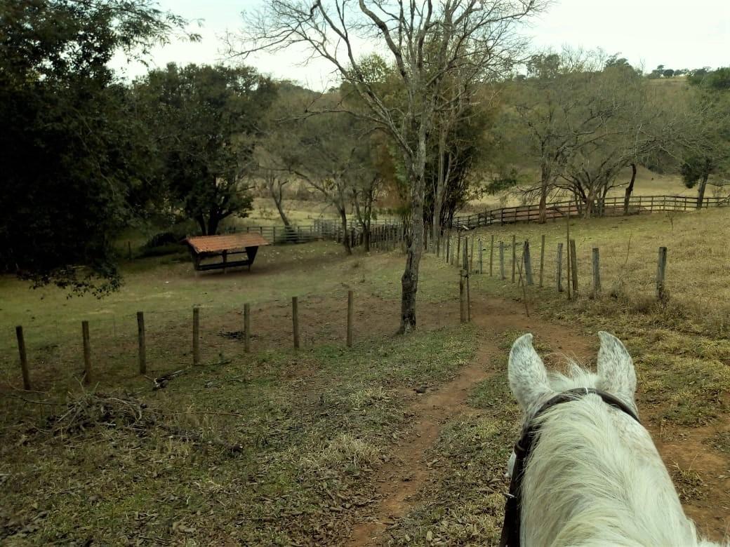 Fazenda, Centro, 1 Quarto, 1 Vaga, 1 Suíte