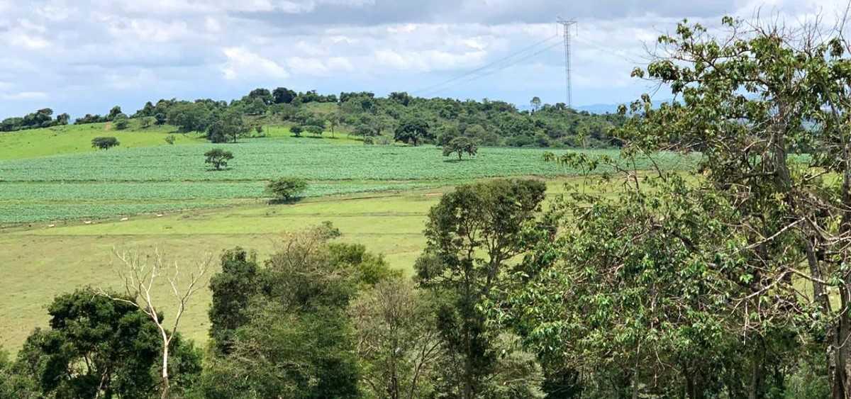Fazenda, Zona Rural, 4 Quartos, 0 Vaga