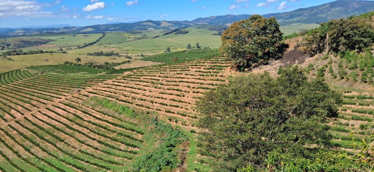 Fazenda, Zona Rural, 0 Quarto, 0 Vaga