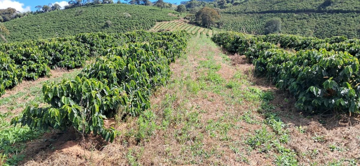 Fazenda, Zona Rural, 0 Quarto, 0 Vaga
