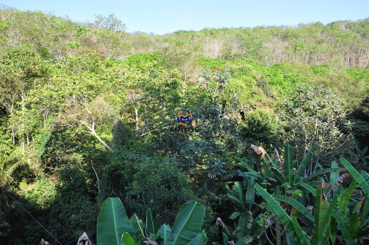 Lote, Ime Farage, 0 Quarto, 0 Vaga