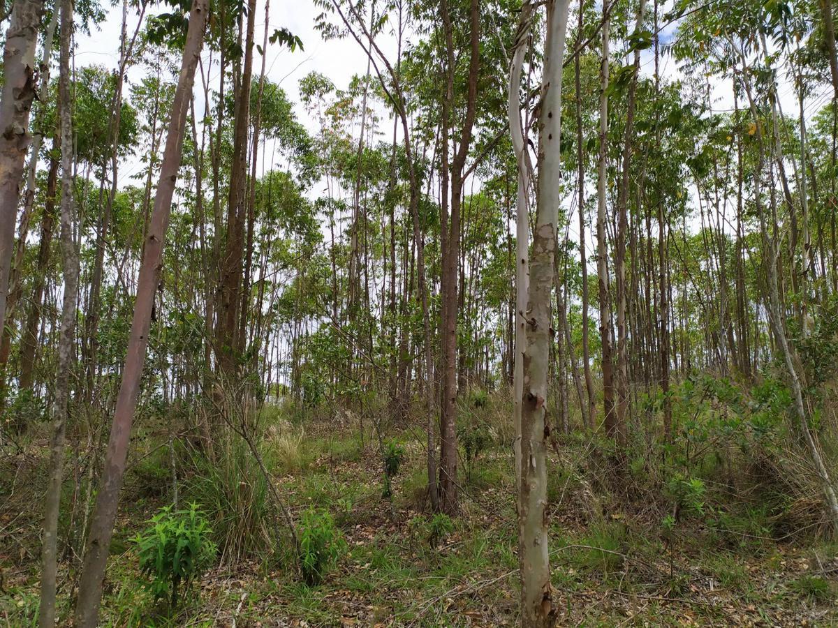 Fazenda, Centro, 1 Quarto, 0 Vaga