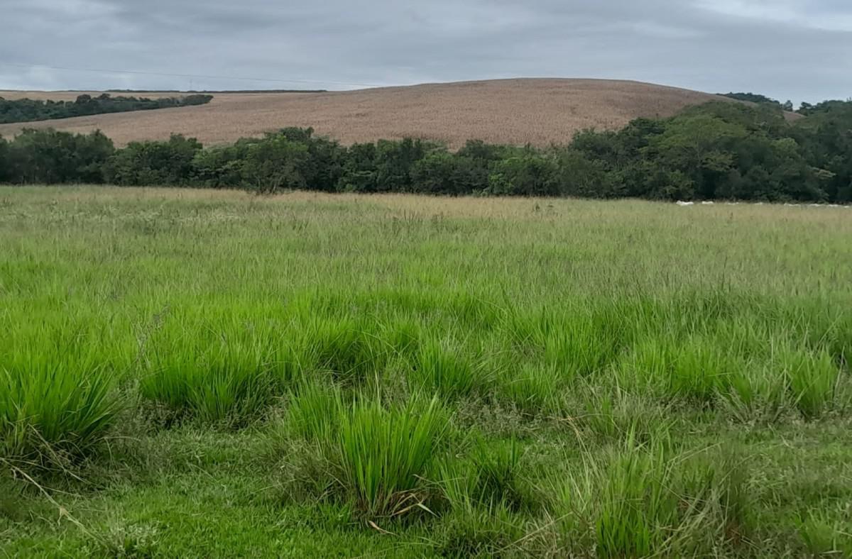 Fazenda, Zona Rural, 0 Quarto, 0 Vaga