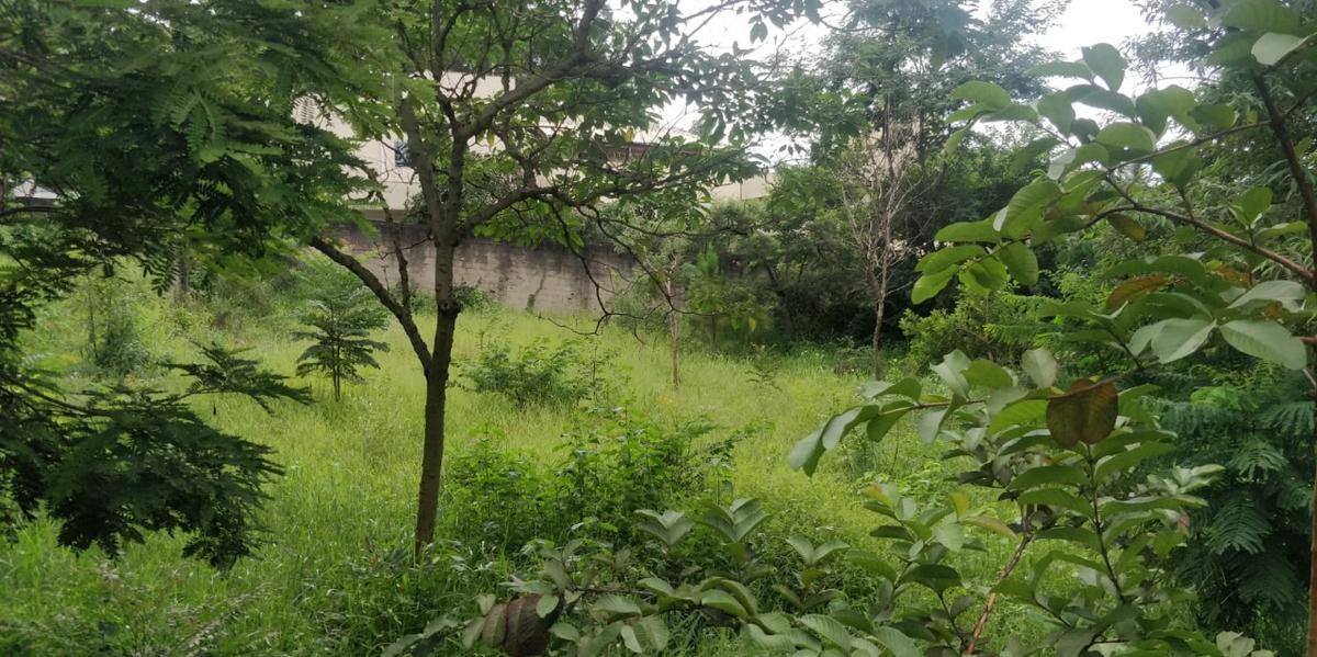 Lote, Cidade Jardim Taquaril, 0 Quarto, 0 Vaga
