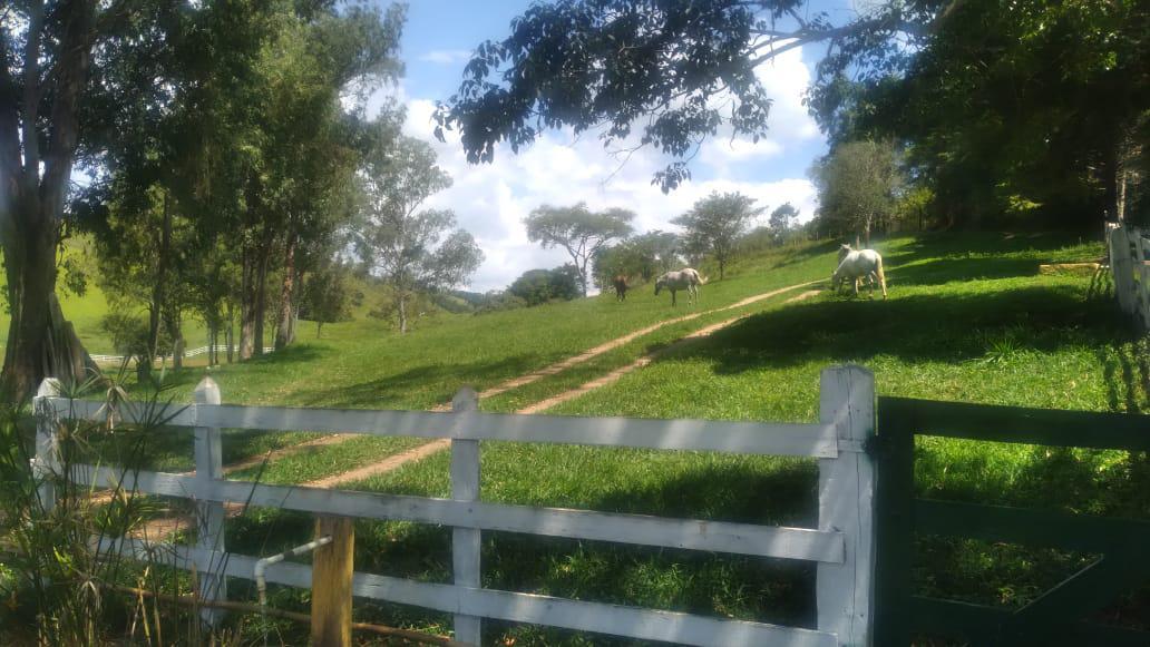 Fazenda, Zona Rural, 4 Quartos, 0 Vaga