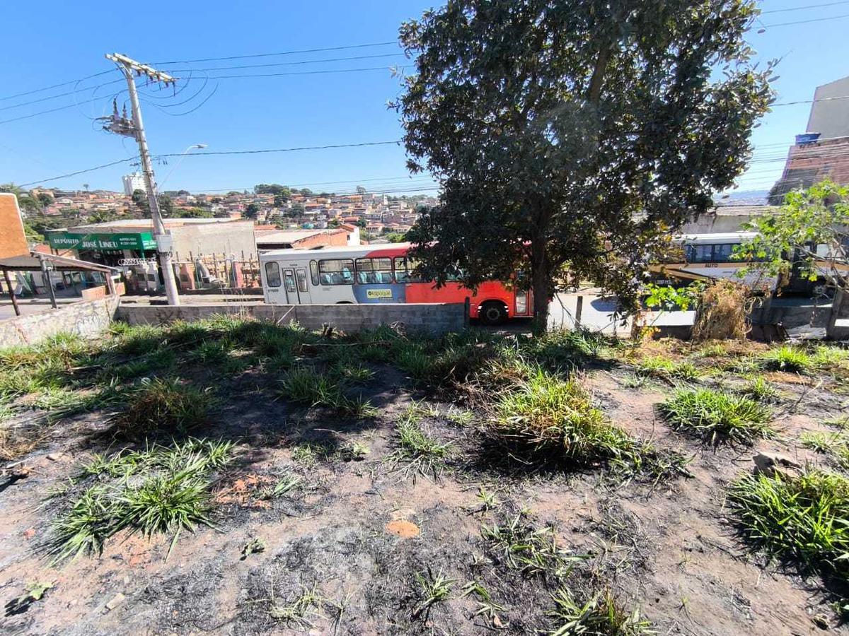 Lote, Pedra Azul, 0 Quarto, 0 Vaga