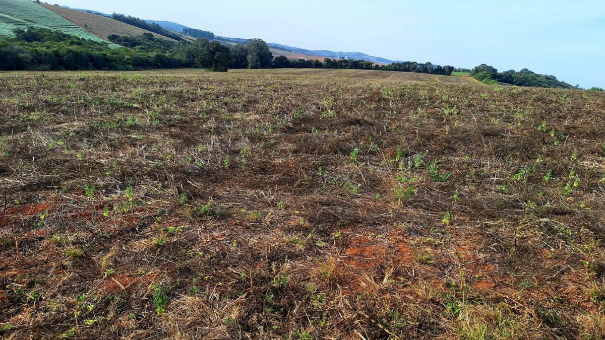 Fazenda, Zona Rural, 0 Quarto, 0 Vaga