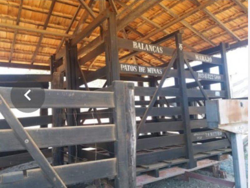 Fazenda, Centro, 0 Quarto, 0 Vaga