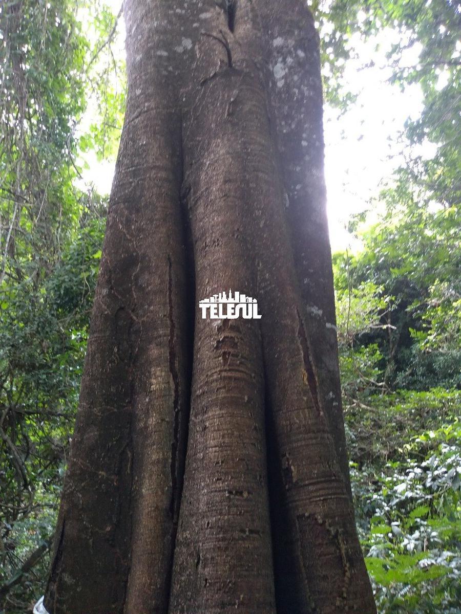 Fazenda, Zona Rural, 0 Quarto, 0 Vaga