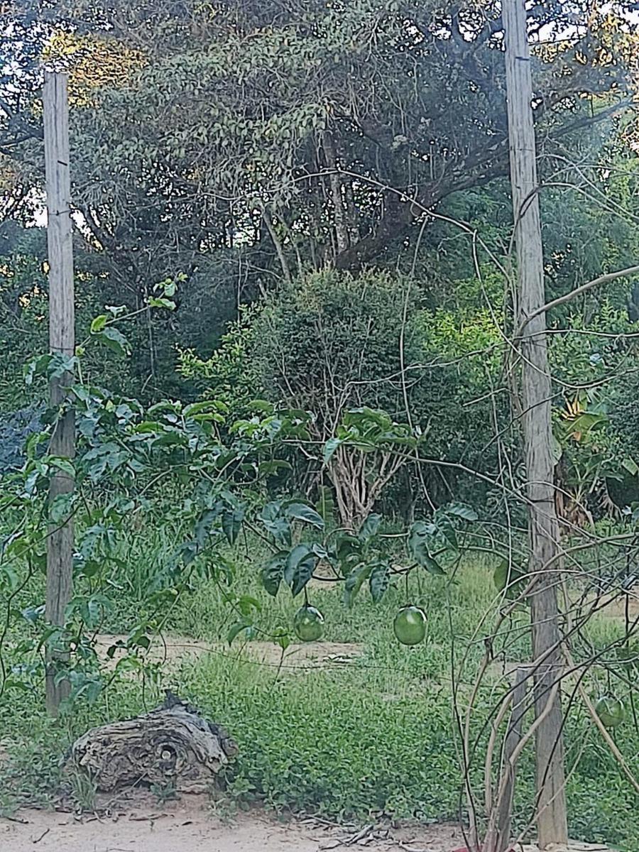 Fazenda, Zona Rural, 3 Quartos, 8 Vagas, 1 Suíte