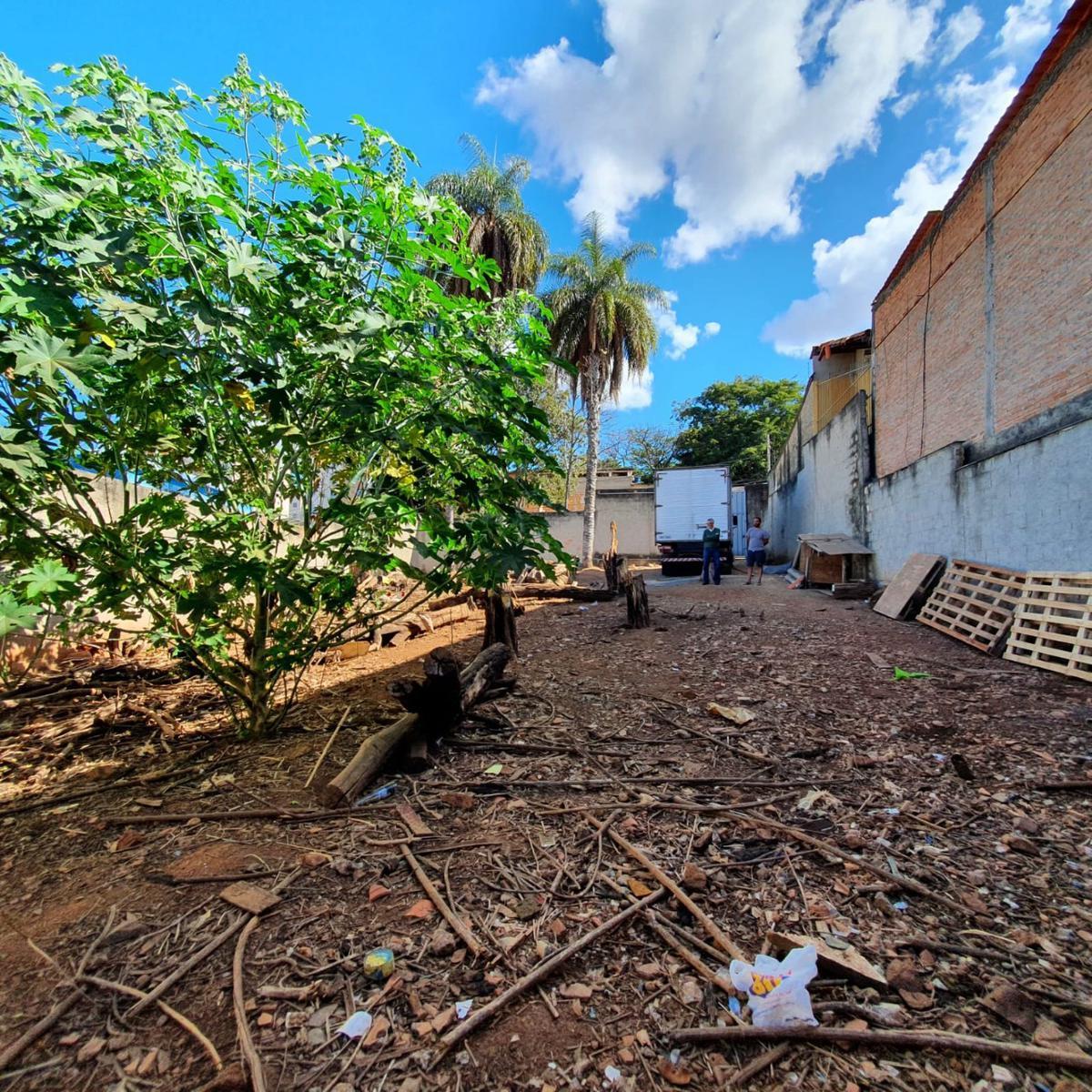 Lote, Cenáculo, 0 Quarto, 0 Vaga