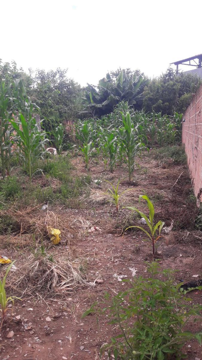 Lote, Vila Barroquinha, 0 Quarto, 0 Vaga