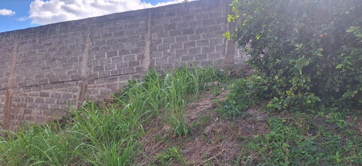 Lote, Centro, 0 Quarto, 0 Vaga