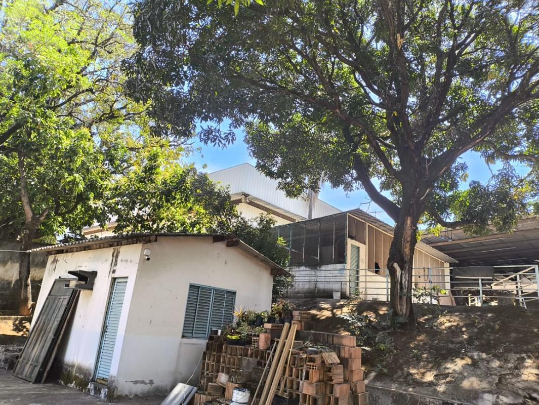 Galpão, São João Batista (venda Nova), 0 Quarto, 5 Vagas