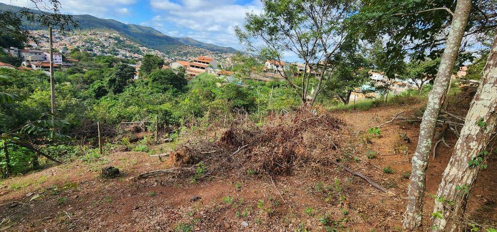 Lote, Terra Santa, 0 Quarto, 0 Vaga