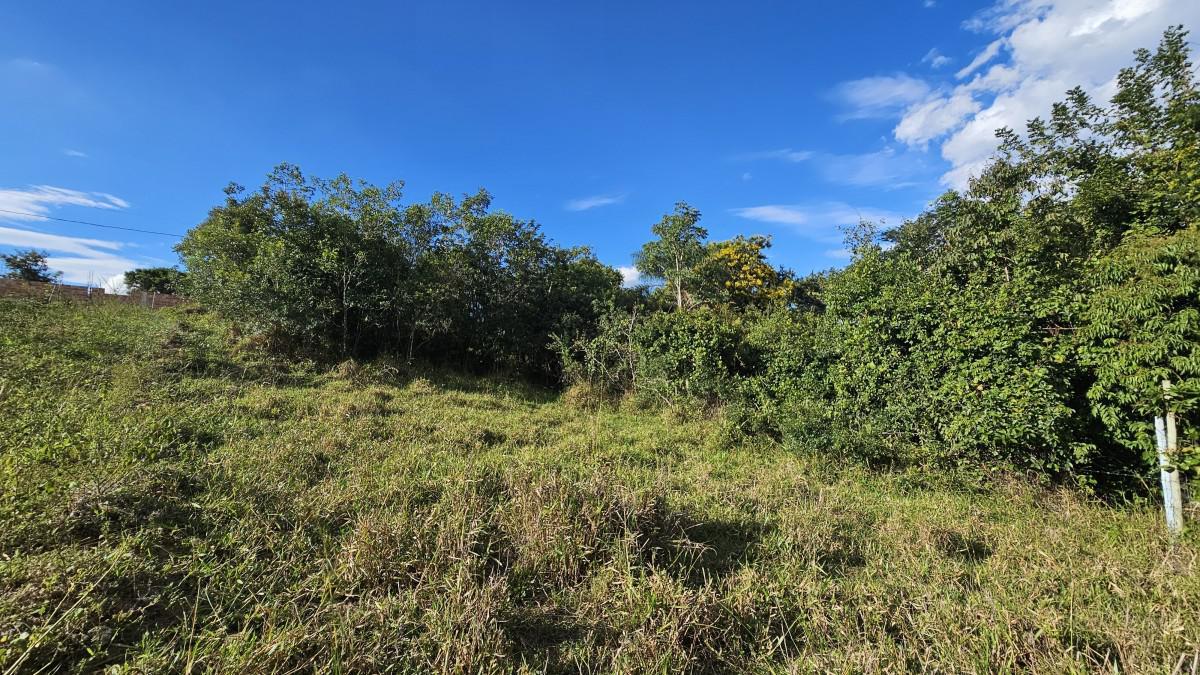 Lote, Ravena, 0 Quarto, 0 Vaga