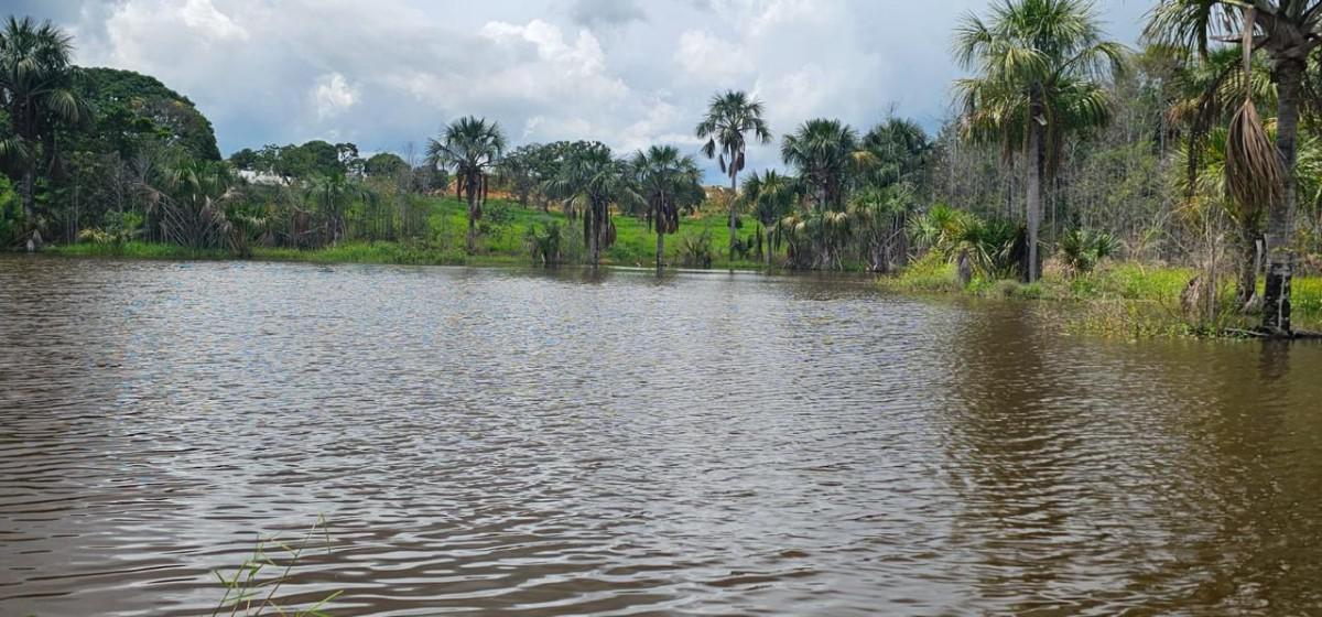 Fazenda, Centro, 0 Quarto, 0 Vaga