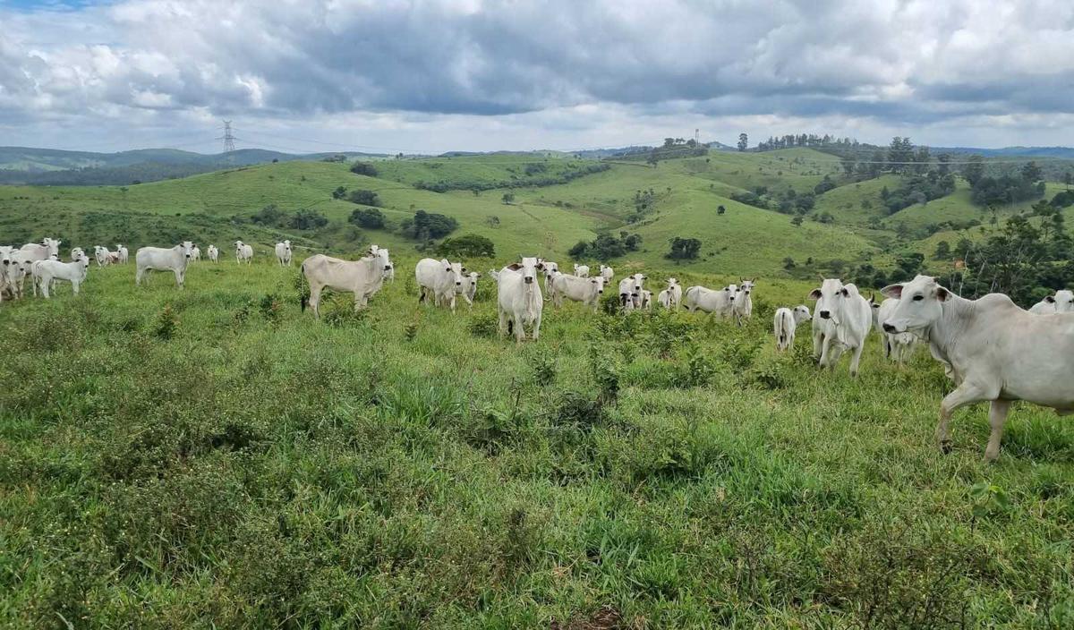 Fazenda, Zona Rural, 2 Quartos, 1 Vaga