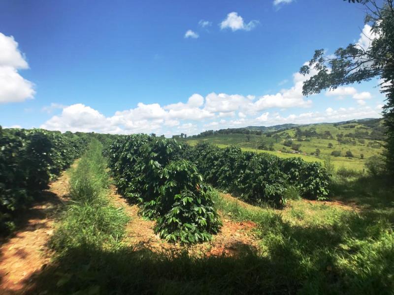 Fazenda, Zona Rural, 0 Quarto, 0 Vaga