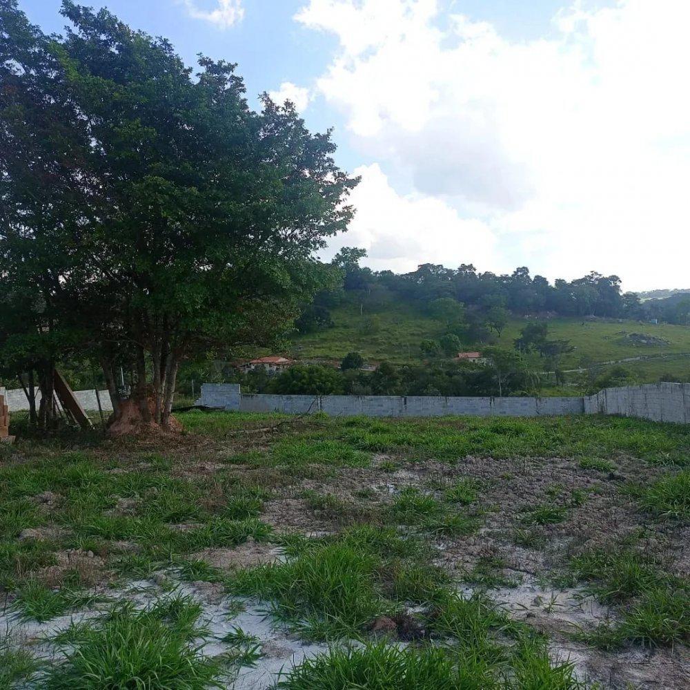 Fazenda, Aranha, 0 Quarto, 0 Vaga