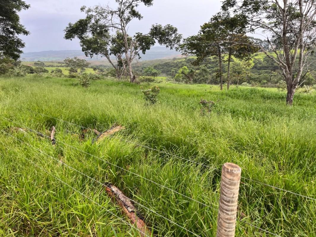 Fazenda, Zona Rural, 0 Quarto, 0 Vaga