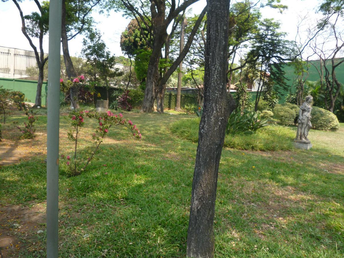 Lote, São Luiz (pampulha), 0 Quarto, 0 Vaga