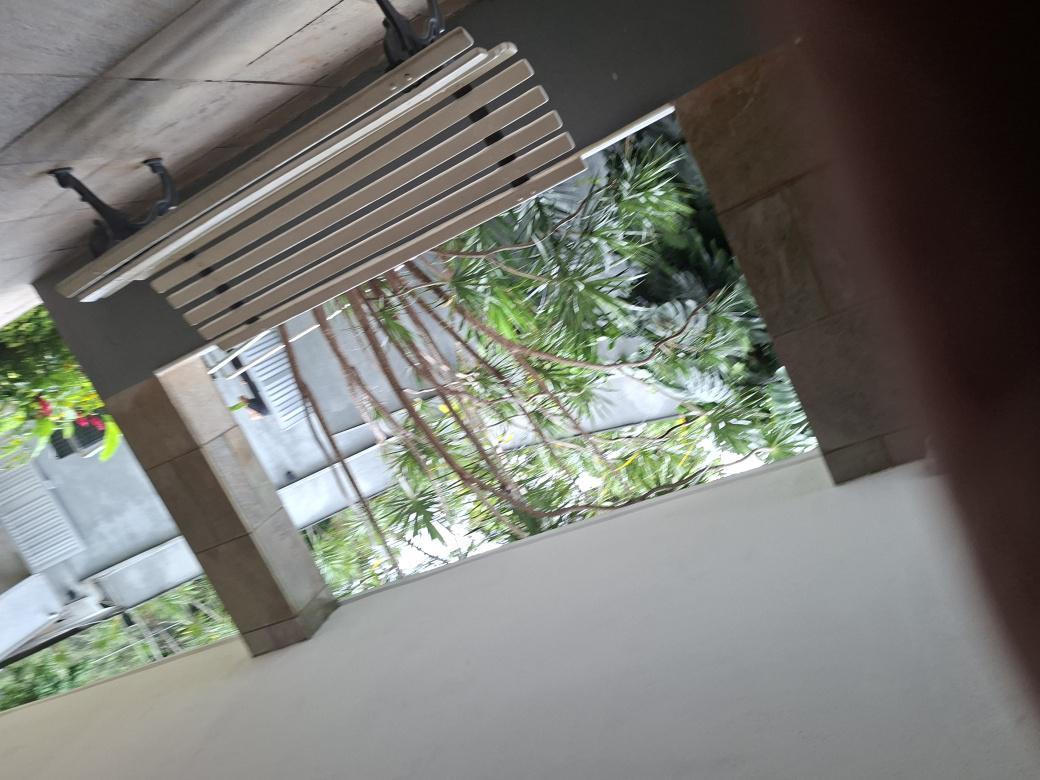 Apartamento, Sion, 3 Quartos, 2 Vagas, 1 Suíte