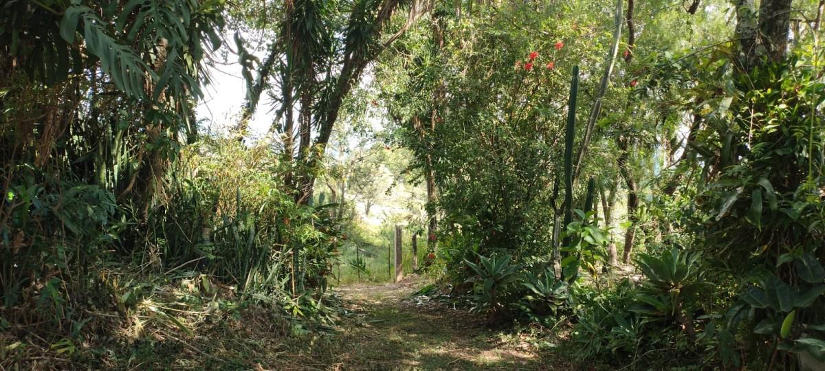Fazenda, Zona Rural, 0 Quarto, 0 Vaga