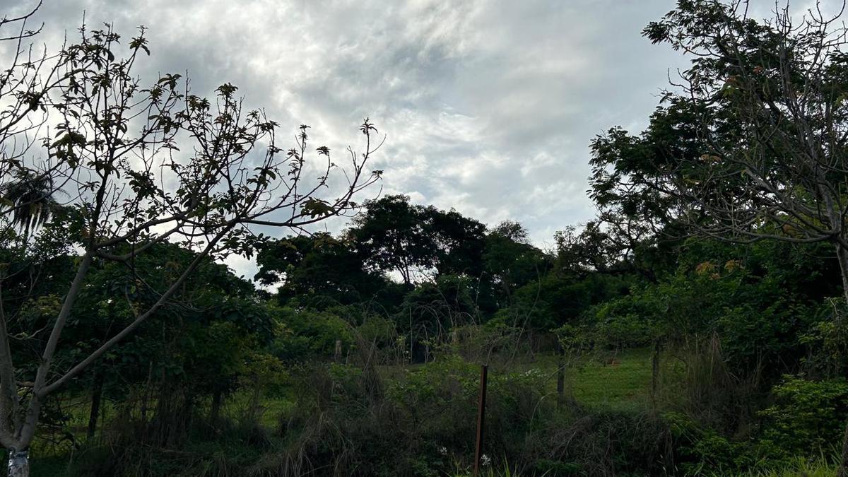 Lote, Jardim Encantado, 0 Quarto, 0 Vaga