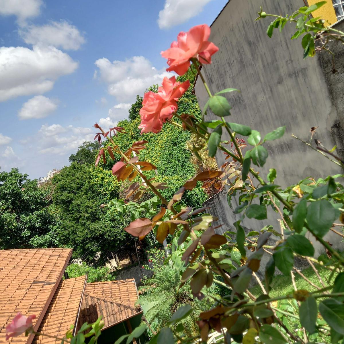 Casa, Santa Terezinha, 3 Quartos, 2 Vagas, 1 Suíte