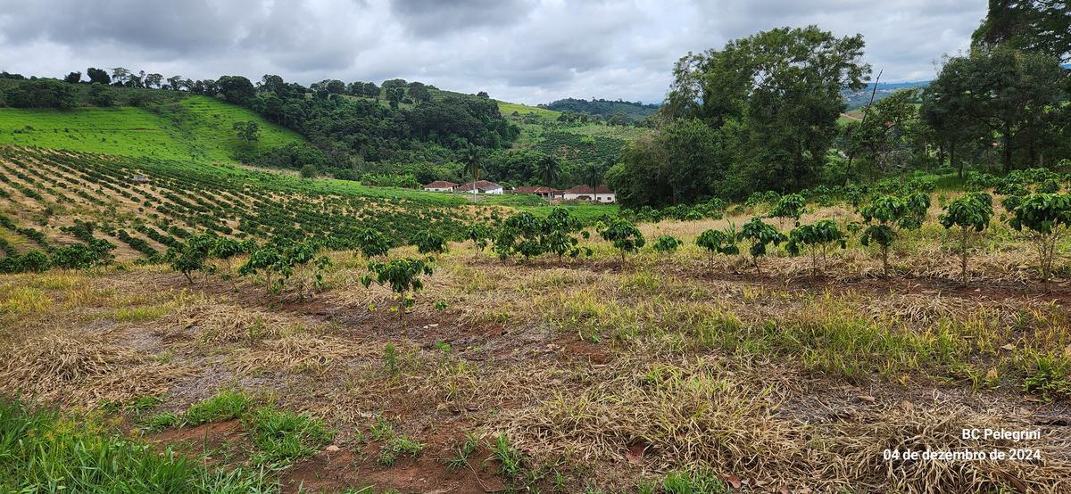 Fazenda, Centro, 2 Quartos, 1 Vaga, 1 Suíte