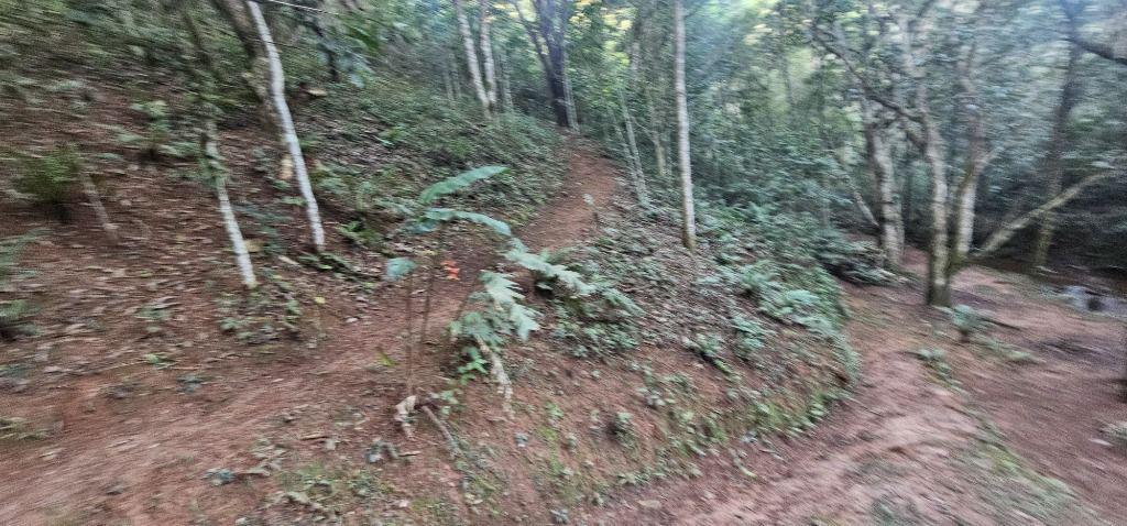 Fazenda, Morro da Cruz, 4 Quartos, 0 Vaga