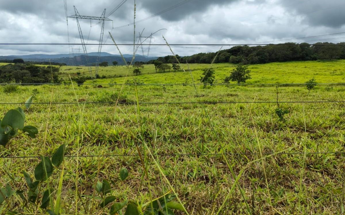 Fazenda, Zona Rural, 5 Quartos, 0 Vaga