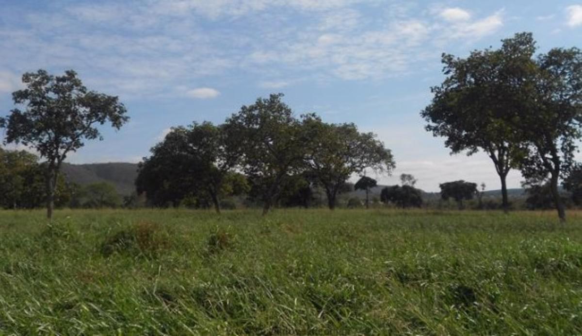 Fazenda, Zona Rural, 0 Quarto, 0 Vaga