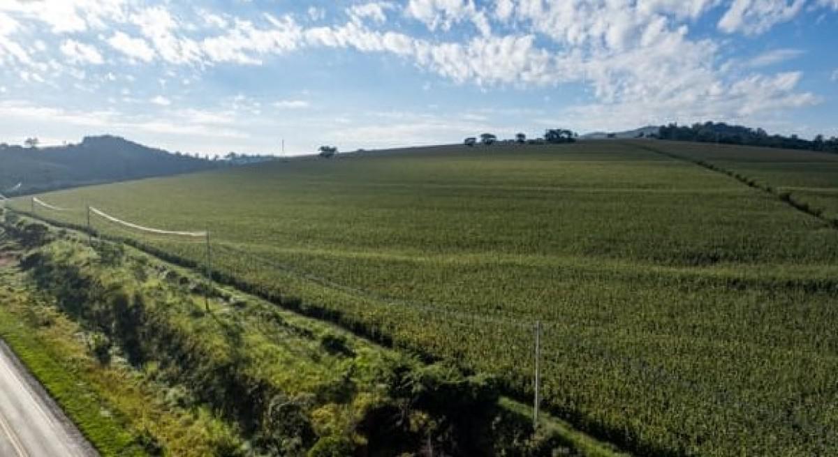Fazenda, Zona Rural, 0 Quarto, 0 Vaga