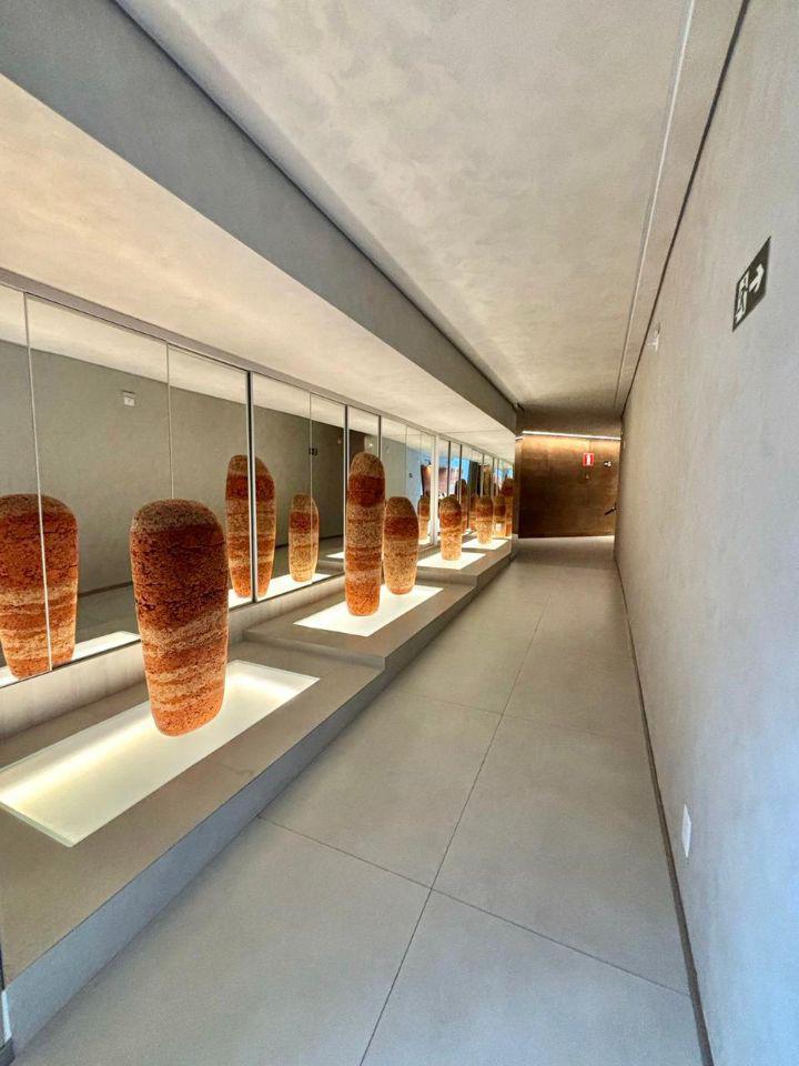 Apartamento, Santo Agostinho, 1 Quarto, 1 Vaga, 1 Suíte