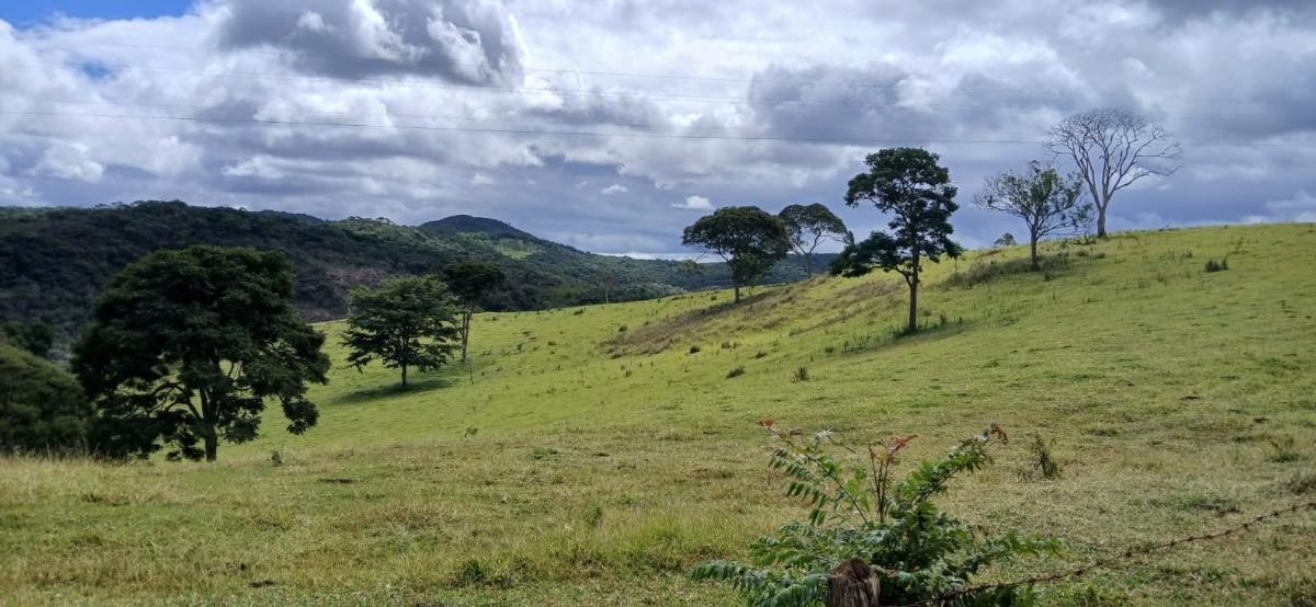 Fazenda, Centro, 6 Quartos, 10 Vagas, 2 Suítes