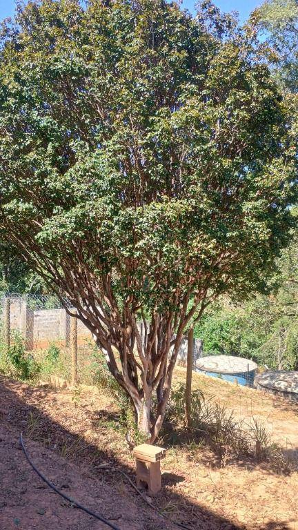 Lote, Adelmolândia, 0 Quarto, 0 Vaga