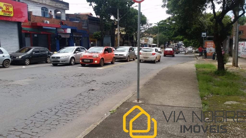 Lote, Palmeiras
