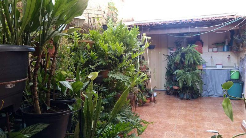 Apartamento, Sagrada Família, 3 Quartos, 1 Vaga, 1 Suíte