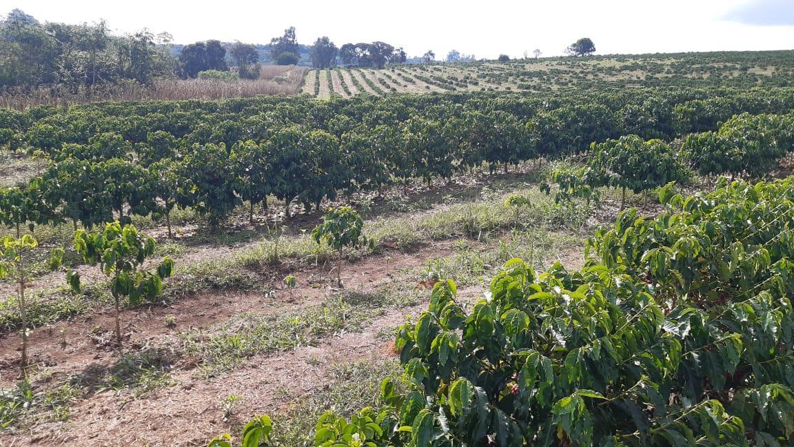 Fazenda, Centro, 3 Quartos, 1 Vaga