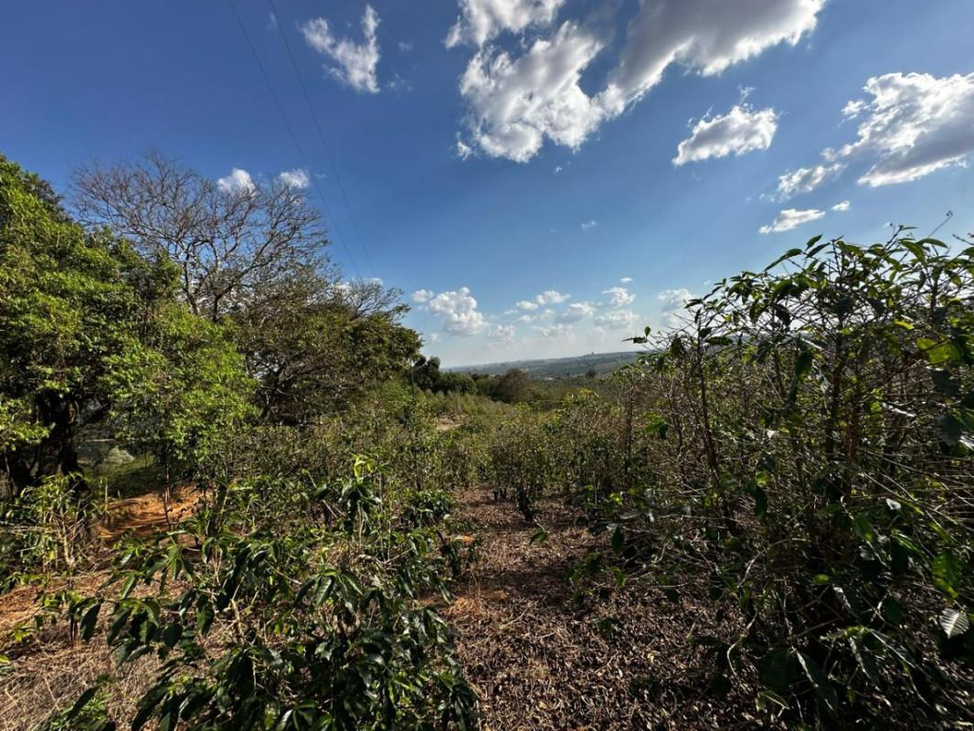 Fazenda, Centro, 0 Quarto, 0 Vaga